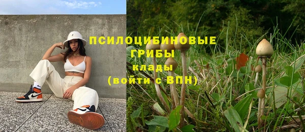 амф Дмитров
