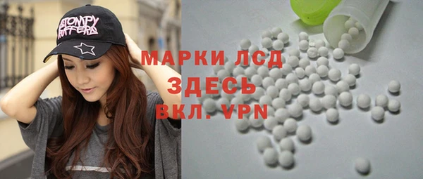 соль ск Дмитриев