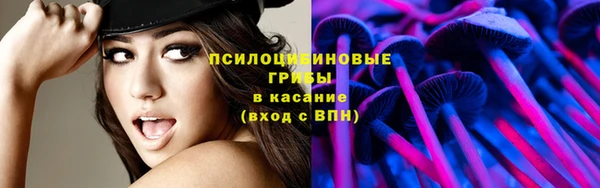 бутират Дмитровск