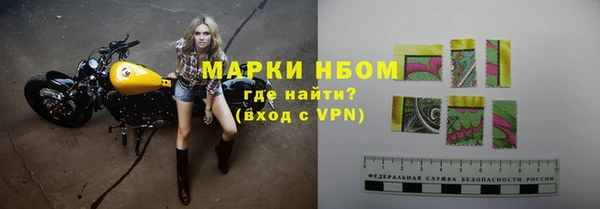 соль ск Дмитриев