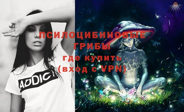 амф Дмитров