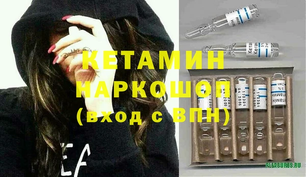 соль ск Дмитриев