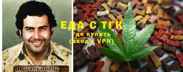амф Дмитров