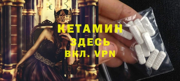 соль ск Дмитриев