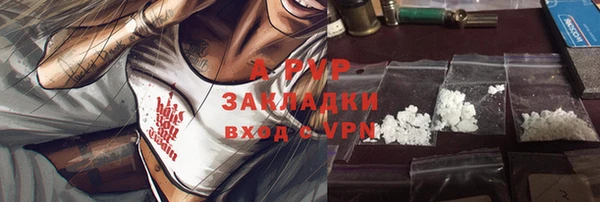 соль ск Дмитриев